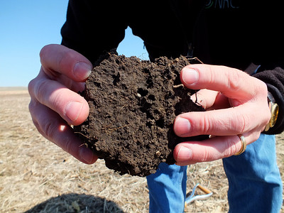 Someone holds up a clod of soil